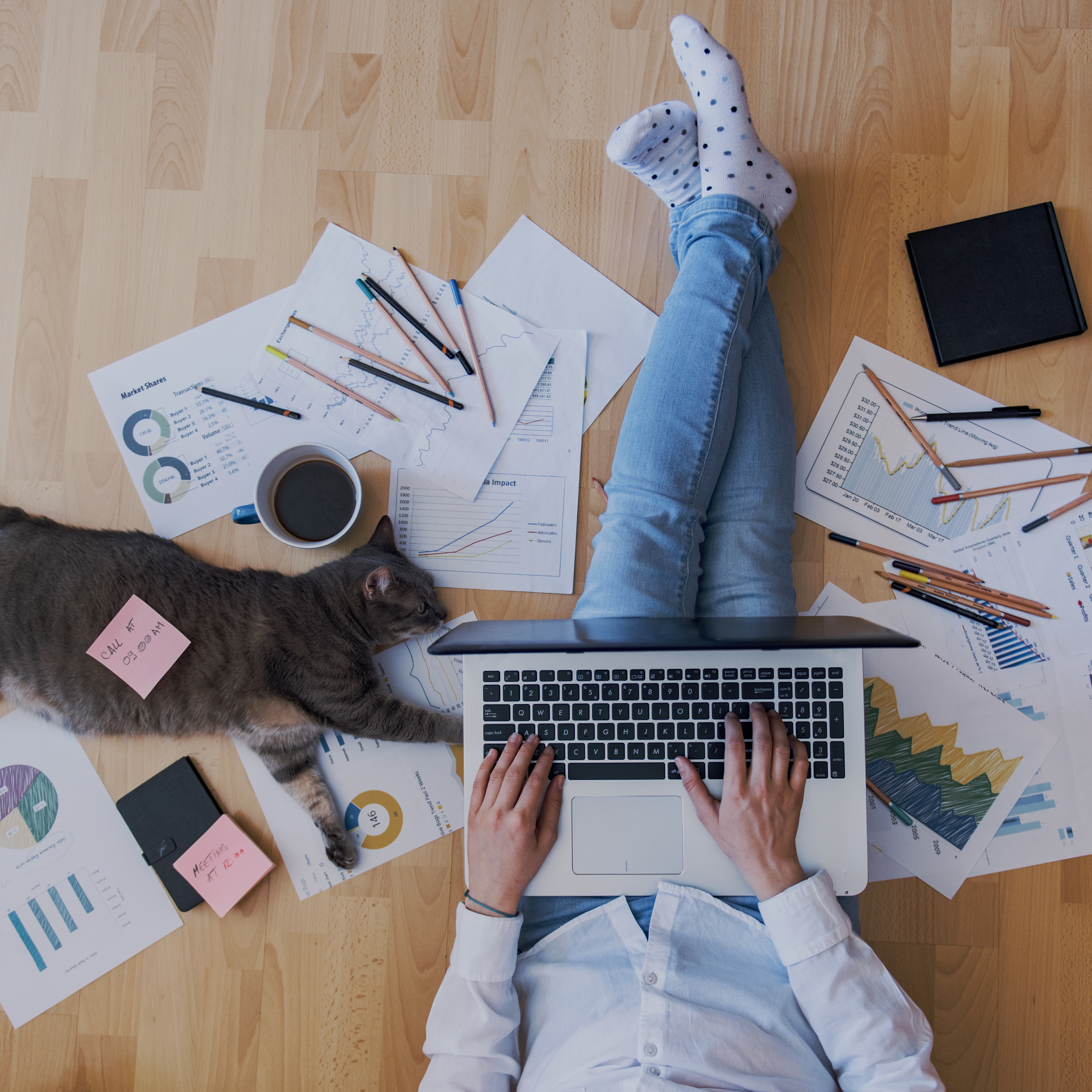 Mann mit Laptop und Katze im Homeoffice